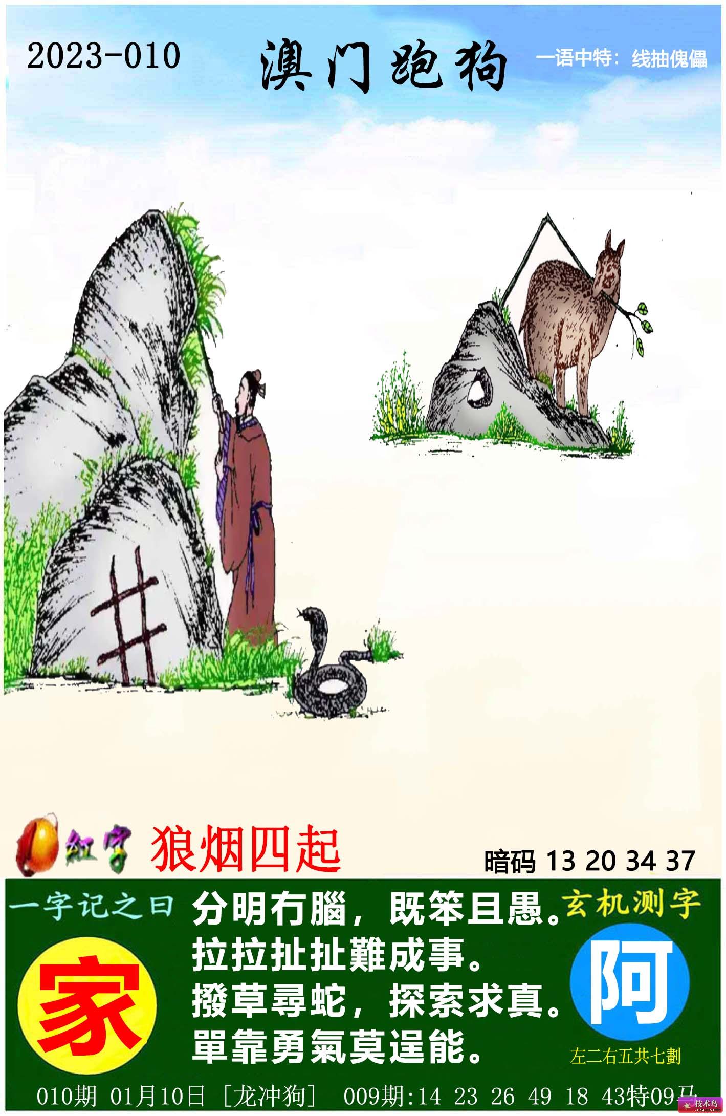 最新更新內(nèi)容，探索7777788888跑狗圖的奧秘，揭秘跑狗圖奧秘，最新更新探索7777788888的神秘面紗