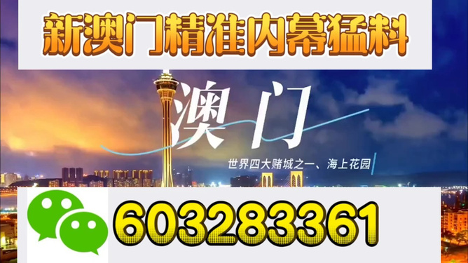 新澳門今晚開(kāi)獎(jiǎng)結(jié)果揭曉，探索彩票背后的秘密與期待，新澳門今晚開(kāi)獎(jiǎng)結(jié)果揭曉，彩票背后的秘密與期待揭曉之夜