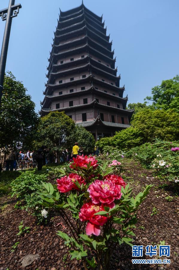 六和彩開碼資料網(wǎng)——探索彩票世界的門戶，六和彩開碼資料網(wǎng)，彩票世界探索之門