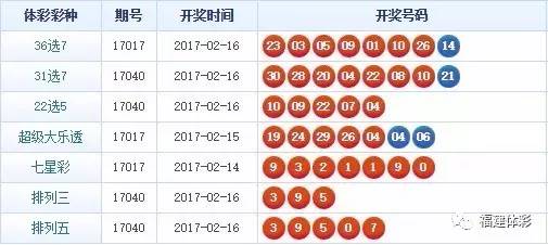 揭秘446999一肖中特馬，規(guī)律與策略解析，揭秘446999一肖中特馬規(guī)律與策略解析指南
