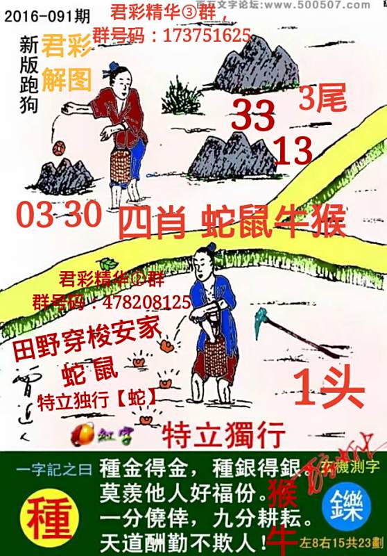 揭秘7777788888精準新跑狗圖，全方位解讀其背后的秘密，揭秘新跑狗圖7777788888，全方位解讀背后的真相與秘密