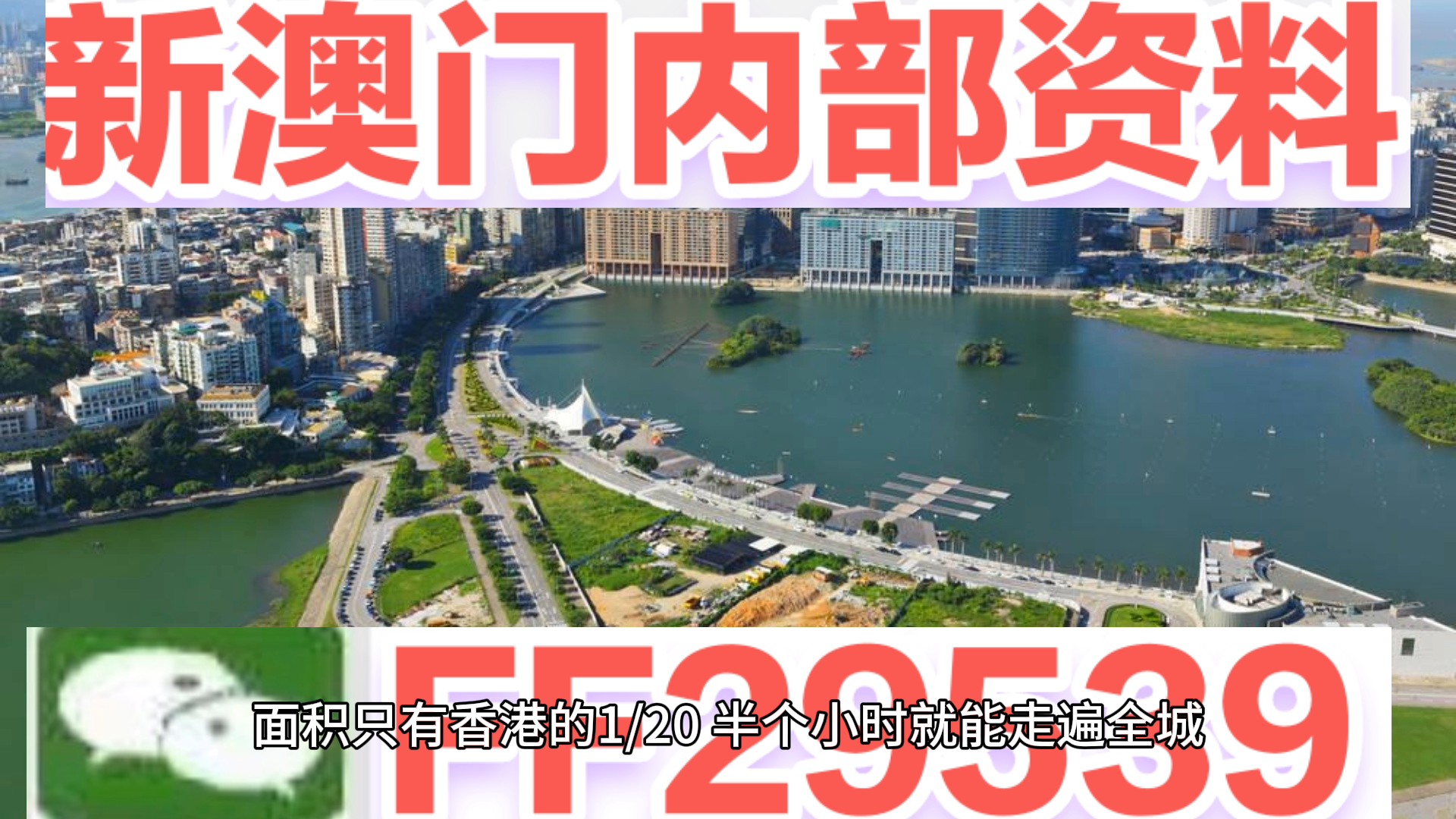 澳門彩票預(yù)測與探索，新澳門04期今晚資料分析（2025年），澳門彩票預(yù)測與探索，新澳門第04期今晚資料深度分析（2025年展望）