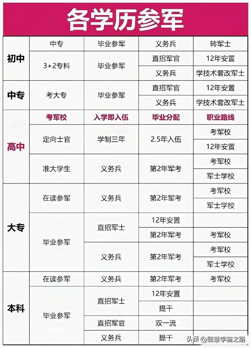 大學(xué)生參軍的條件及待遇，大學(xué)生參軍的條件與待遇解析