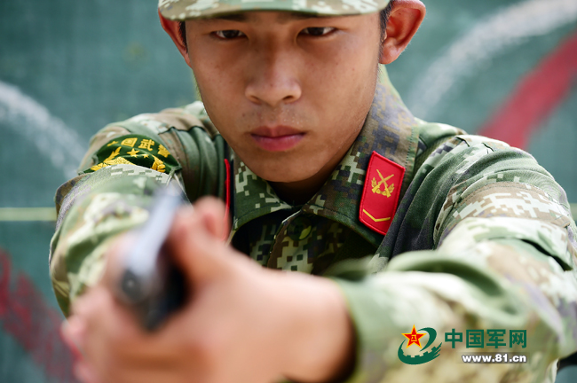 中國武警部隊的規(guī)模與力量，究竟有多少人？，揭秘中國武警部隊的規(guī)模與力量，究竟有多少人？