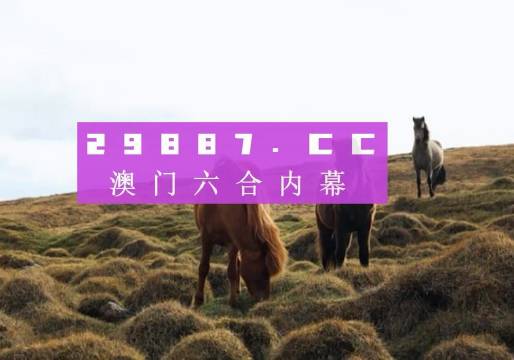 揭秘與解析