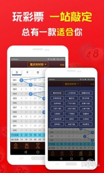 揭秘2019王中王一肖，成功背后的故事與秘密，揭秘王中王一肖的成功之路，背后的故事與秘密