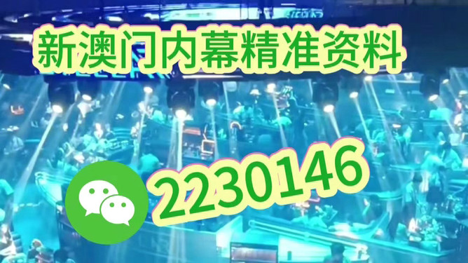澳門(mén)今晚開(kāi)什么，探索未來(lái)的機(jī)遇與挑戰(zhàn)，澳門(mén)未來(lái)機(jī)遇與挑戰(zhàn)，今晚開(kāi)什么？