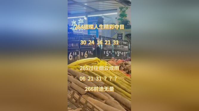 第311頁