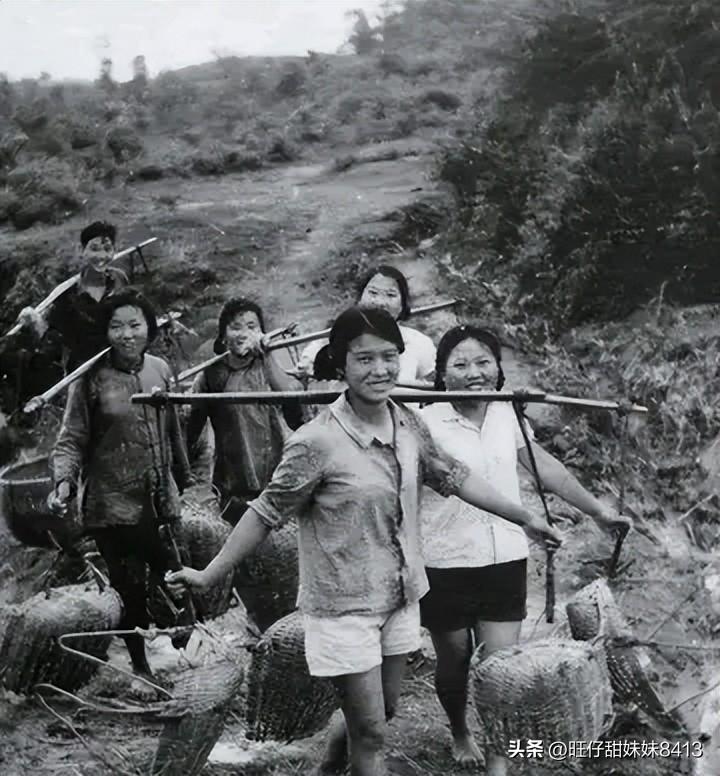 49圖庫