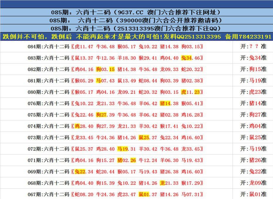 澳門(mén)六合正版資料，深度解析與探索，澳門(mén)六合正版資料深度解析與探索之旅