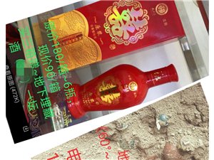 王中王一肖論一壇，深度探討與SEO優(yōu)化策略，王中王一肖論壇，深度探討與SEO優(yōu)化策略分享