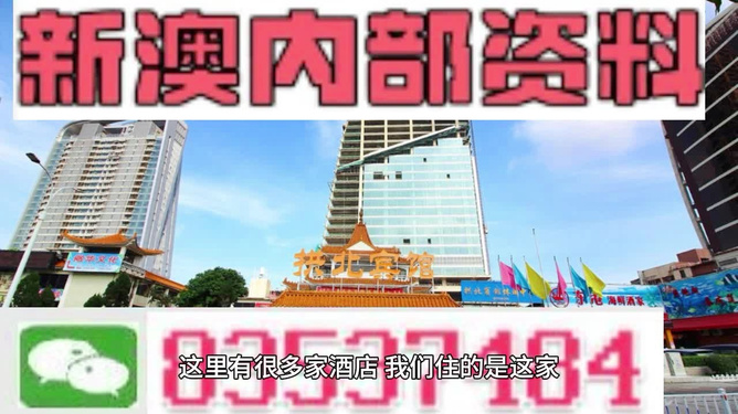 2025新澳正版資料精準解析與預(yù)測，2025新澳正版資料精準解析與趨勢預(yù)測