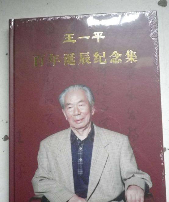 王中王平肖一特，聚焦關(guān)鍵詞，深度解析個人品牌與SEO優(yōu)化策略，深度解析個人品牌建設與SEO優(yōu)化策略——以王中王平肖一特為例