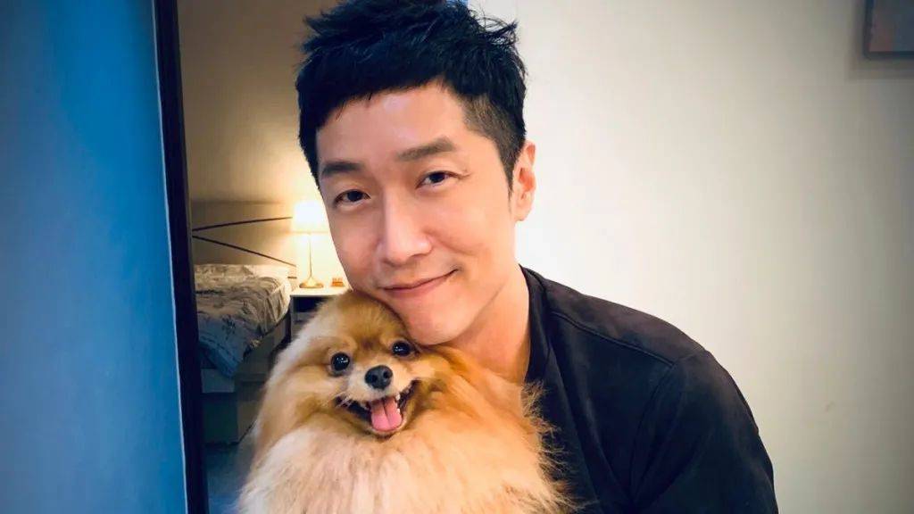 香港四不像劉伯溫必中一肖——揭秘彩票背后的秘密，揭秘彩票背后的秘密，劉伯溫四不像預(yù)測與香港必中生肖彩票解析