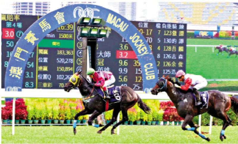 澳門賽馬會(huì)，歷史、文化與激情的交融，澳門賽馬會(huì)，歷史、文化與激情的盛會(huì)