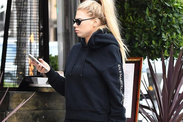 四不像一肖圖王中王，揭秘背后的奧秘與獨特魅力，揭秘四不像一肖圖王中王的奧秘與獨特魅力