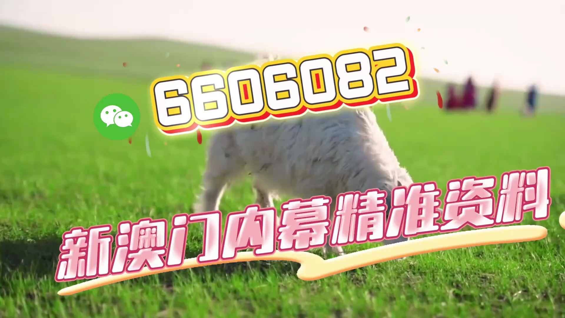 澳門今晚必開一肖一特，揭秘生肖彩票的魅力與預(yù)測技巧，澳門生肖彩票預(yù)測揭秘，一肖一特魅力與預(yù)測技巧探討