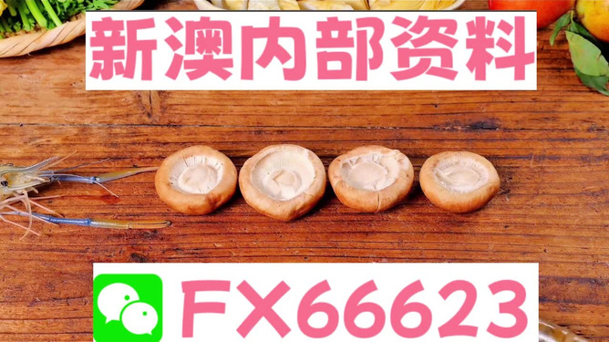 新澳全年免費(fèi)資料大全——探索與學(xué)習(xí)資源的寶庫(kù)，新澳全年免費(fèi)資料大全，探索與學(xué)習(xí)資源的終極寶庫(kù)