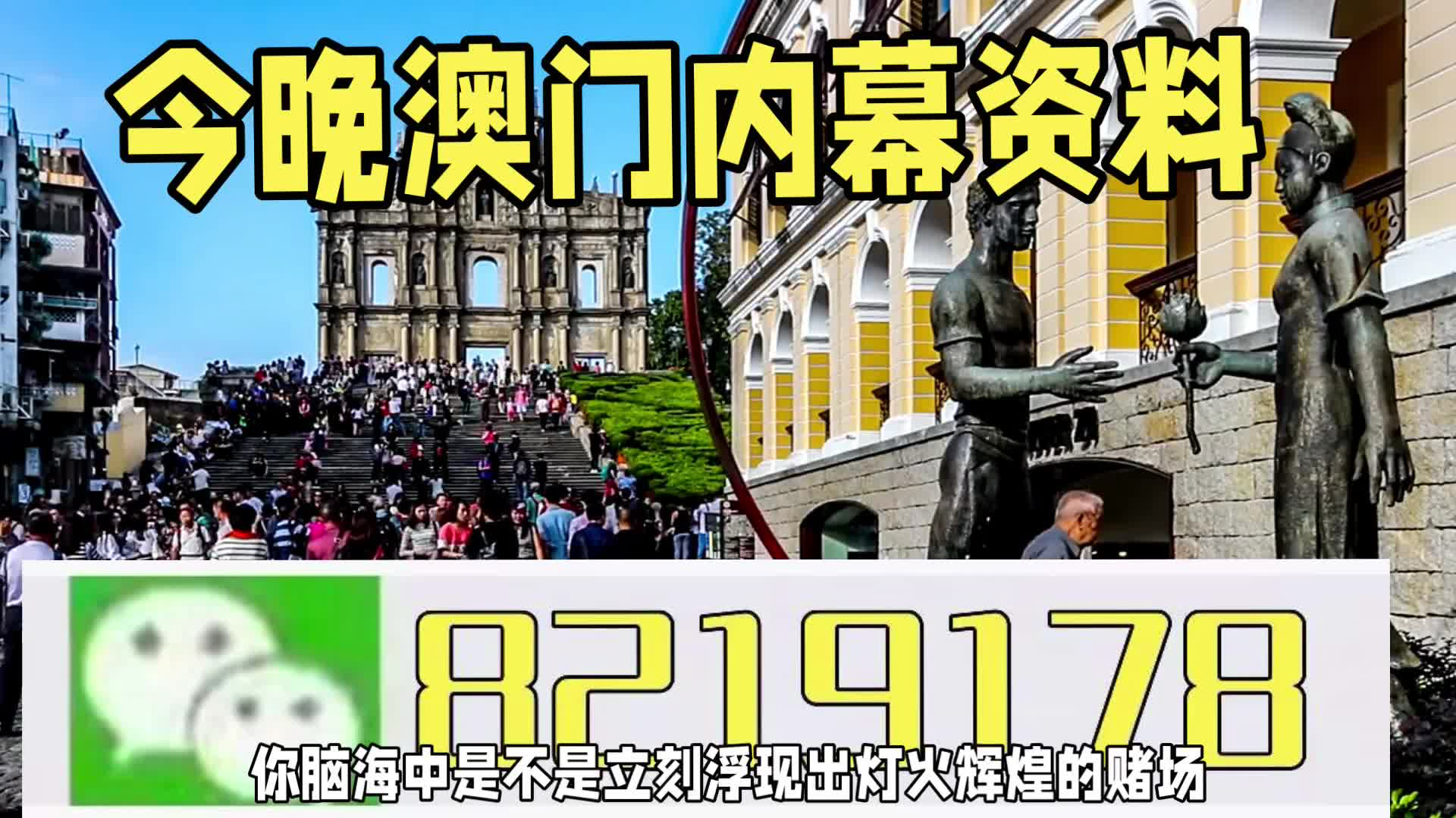 新澳門一肖一特一中，探索與解讀，新澳門一肖一特一中，深度探索與解讀