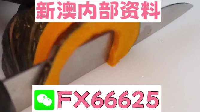 澳門管家婆，揭秘精準(zhǔn)預(yù)測的秘密武器，澳門管家婆揭秘，精準(zhǔn)預(yù)測的秘密武器全解析