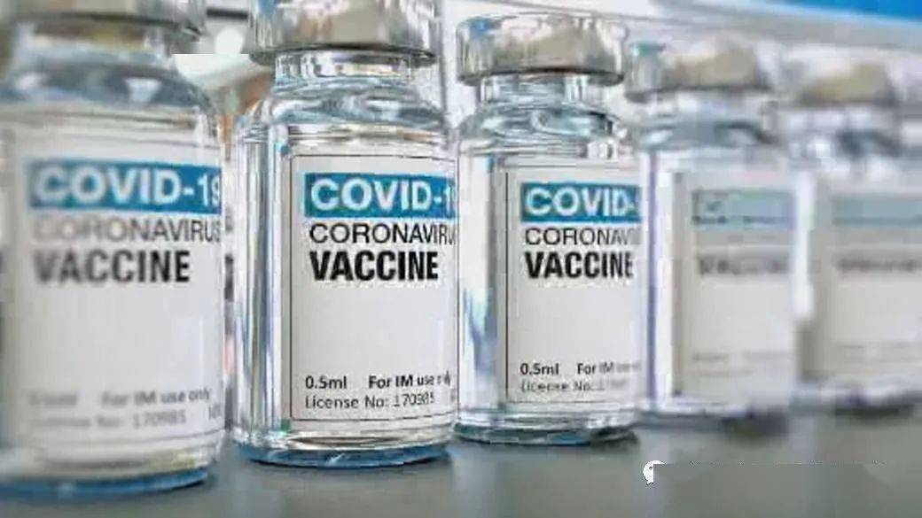 王中王解一肖特，揭秘生肖魅力與獨特之處，揭秘生肖魅力與獨特之處，王中王解讀一肖特