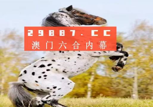 揭秘白小姐王中王四不像圖一，探尋肖中特的神秘面紗，揭秘白小姐王中王四不像圖與肖中特神秘面紗的背后真相