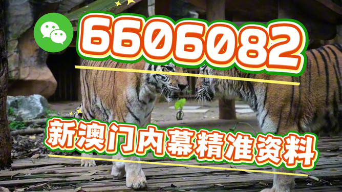 澳門今晚必開一肖一特，探索生肖彩票的魅力與預(yù)測，澳門生肖彩票探索，魅力揭秘與今晚預(yù)測一肖一特