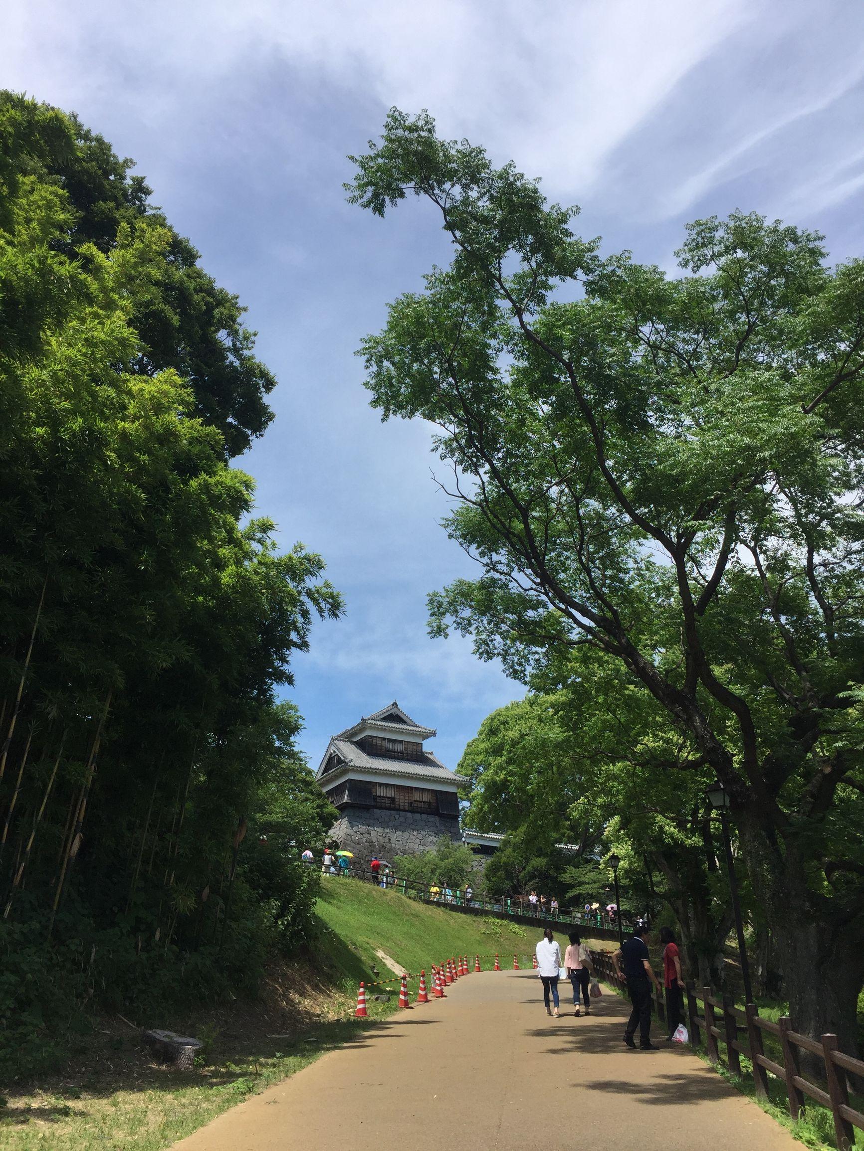 上海游輪旅游路線