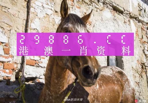 揭秘王中王資料，一肖正特馬的奧秘，揭秘王中王資料與一肖正特馬的神秘面紗