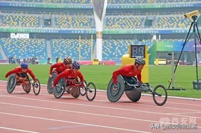 探索澳門未來，2025新澳門正版免費(fèi)資本車展望，澳門未來展望，2025資本車正版免費(fèi)探索之旅