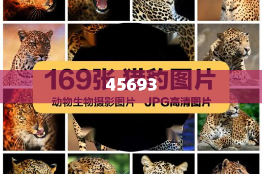 全新升級，7777888888精準新管家，全新升級管家，精準管理，一站式服務 7777888888新管家重磅來襲