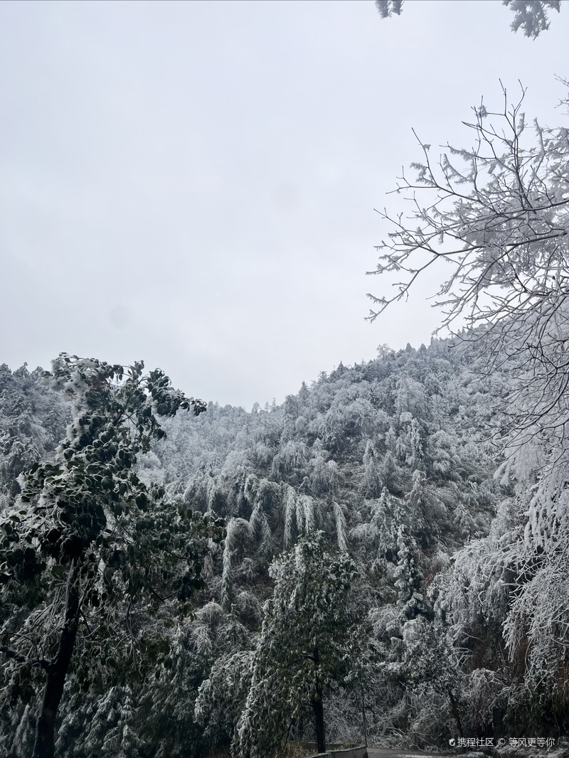 雪峰山國(guó)家森林公園，自然之美的瑰寶，雪峰山國(guó)家森林公園，自然之美的璀璨瑰寶