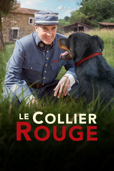 四不像王中王必中一肖，揭秘背后的秘密與策略，揭秘四不像王中王必中一肖的秘密與策略，揭秘背后的真相與策略