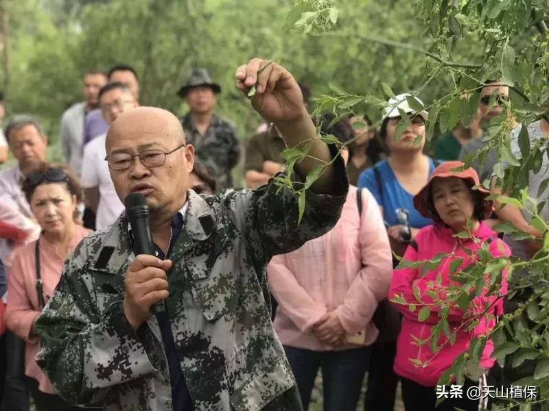 長期吃紅棗的潛在害處，了解并平衡飲食健康，長期食用紅棗的潛在風險與飲食平衡的重要性