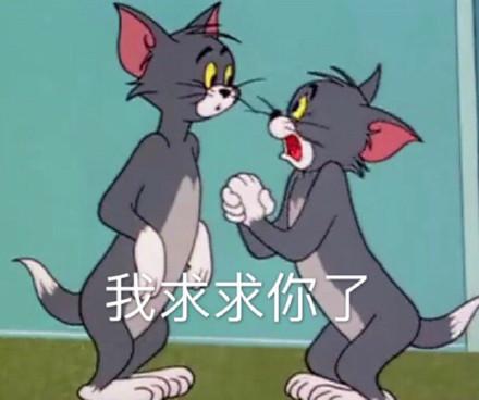 湯姆貓股票股吧，投資熱點與前景展望，湯姆貓股票股吧，投資熱點與未來前景展望