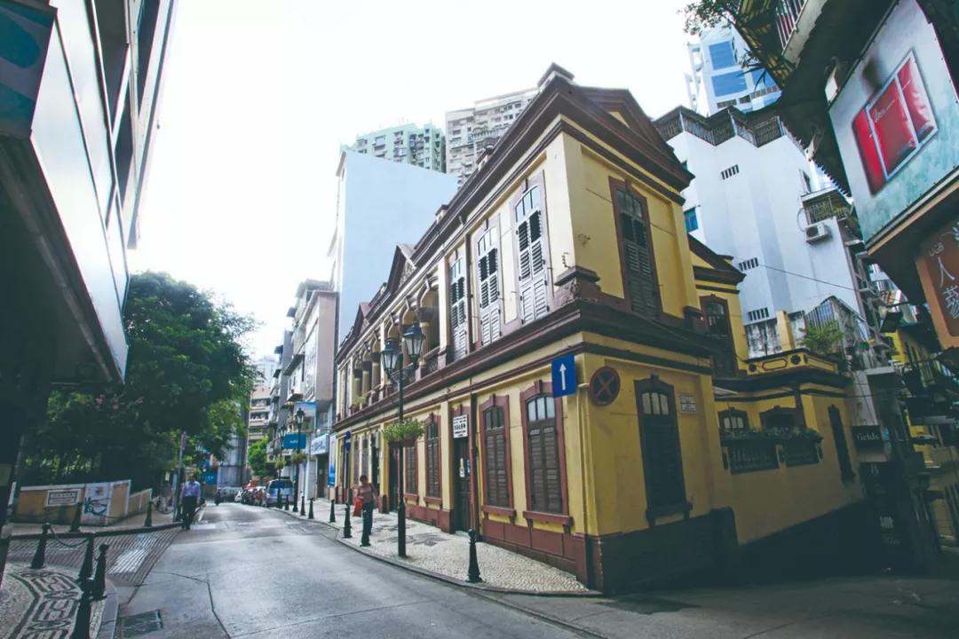 澳門三期內必開一肖——揭秘生肖彩票的奧秘，揭秘澳門生肖彩票三期必開一肖的神秘面紗