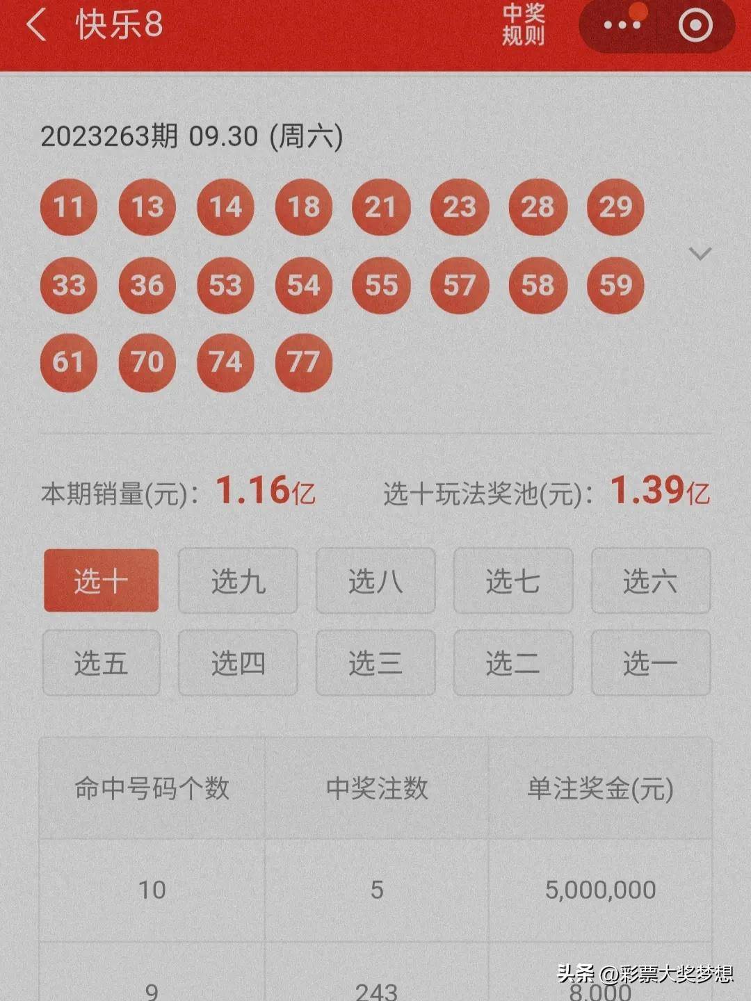 揭秘王中王四肖必中一肖中特，深度解析與SEO優(yōu)化策略，揭秘王中王四肖必中一肖中特，深度解析與SEO策略全攻略
