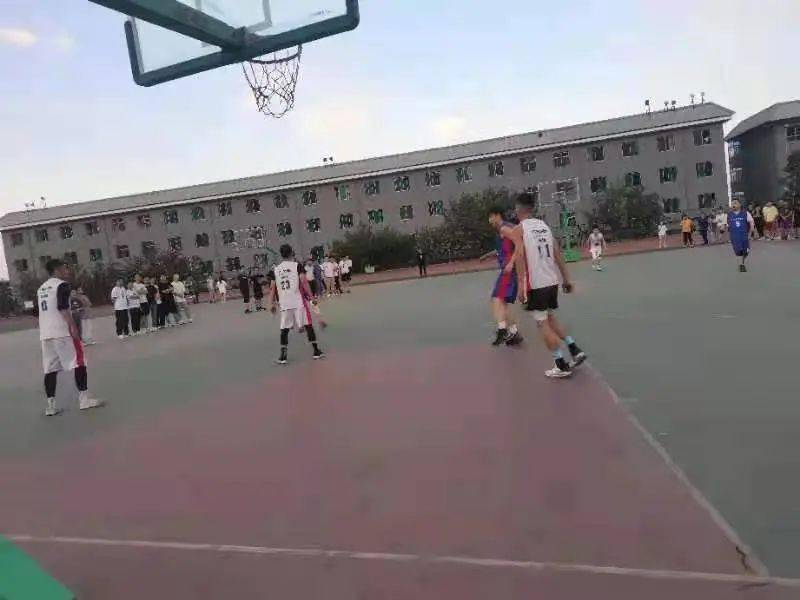 澳門二四六天下彩天天免費(fèi)大全——全面解析澳門彩票文化，澳門彩票文化全面解析，二四六天下彩免費(fèi)大全