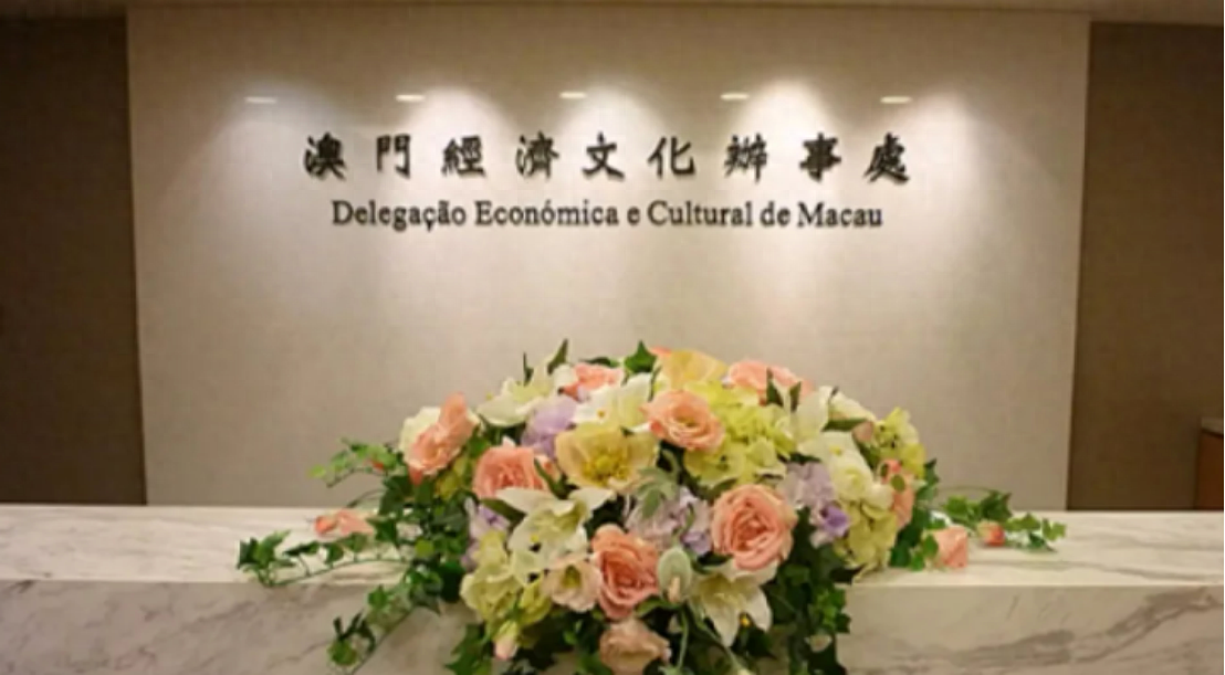 澳門一碼一肖一待一中四不像——揭開神秘面紗下的真相，澳門神秘事件揭秘，一碼一肖一待一中四不像真相探索