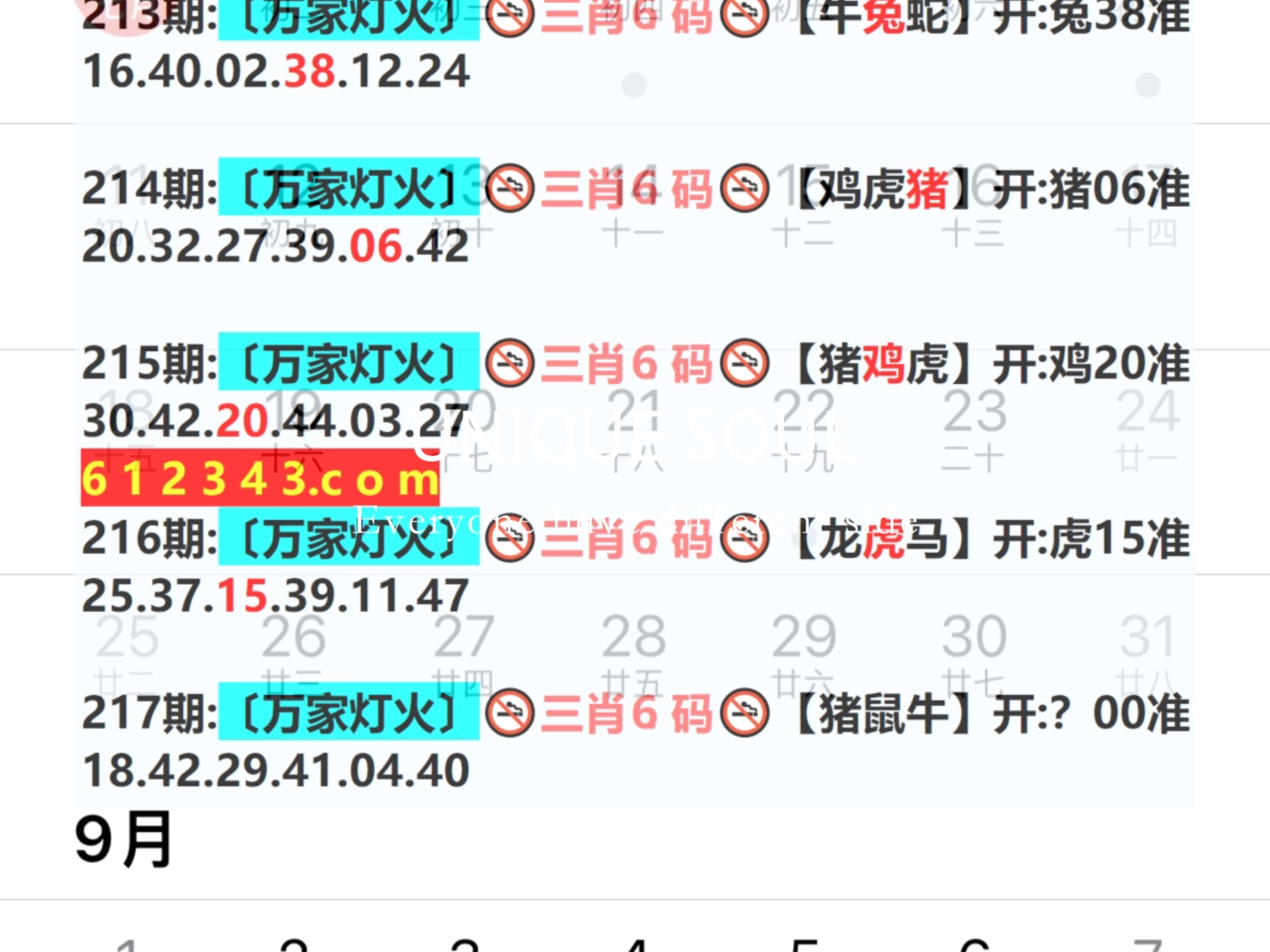 新澳門(mén)期期免費(fèi)資料——探索澳門(mén)博彩文化的深度與廣度，澳門(mén)博彩文化深度與廣度探索，新澳門(mén)期期免費(fèi)資料揭秘