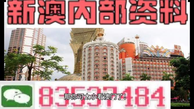 新澳新澳門正版資料，探索與解析，新澳新澳門正版資料深度解析與探索