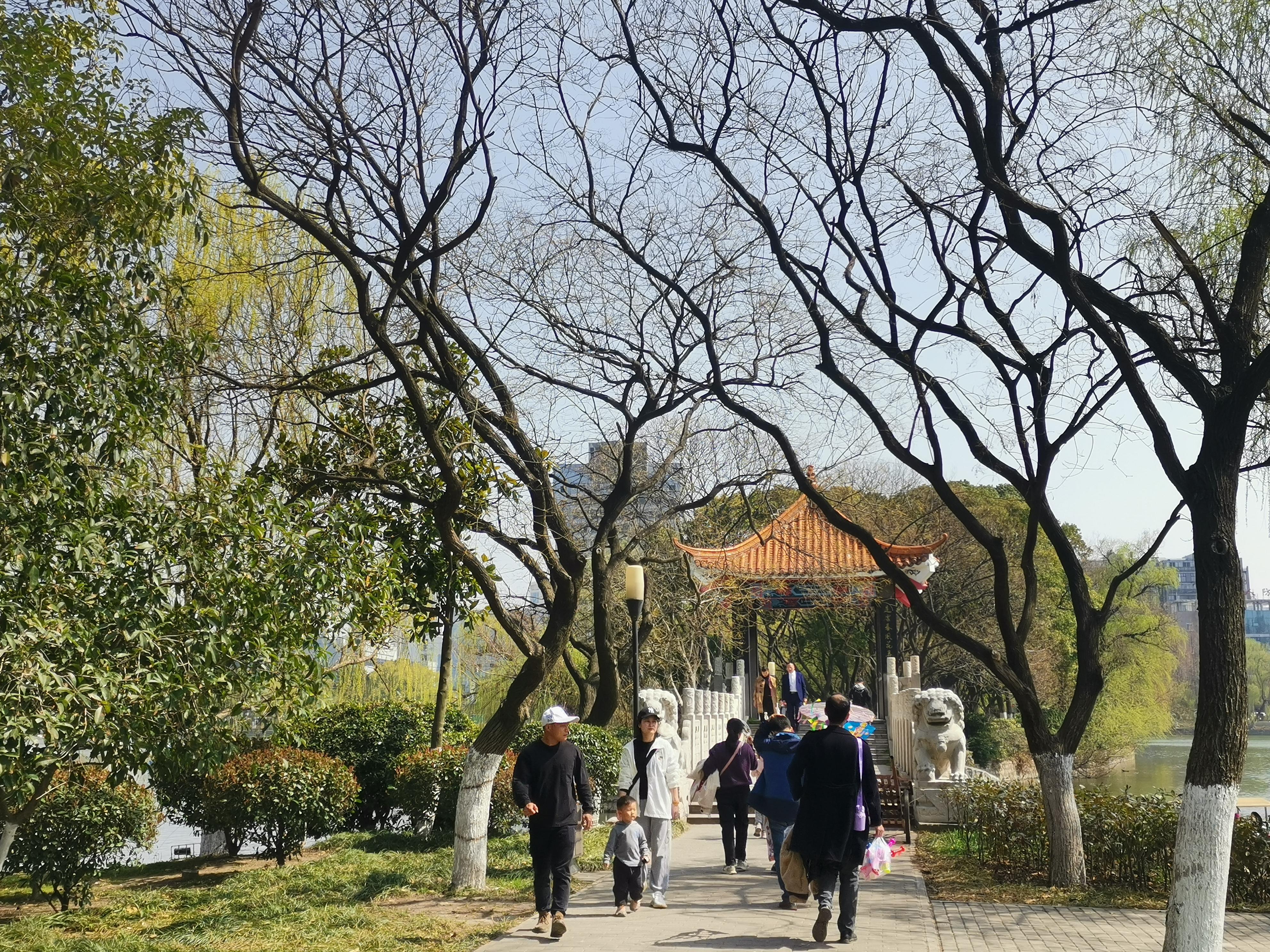 澳門75期最快天天開獎(jiǎng)，揭秘彩票背后的秘密與策略，澳門75期天天開獎(jiǎng)揭秘，彩票背后的秘密與策略探究