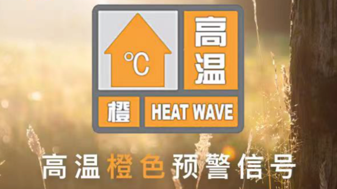 澳i門精準(zhǔn)免費(fèi)資料，探索與揭秘，澳i門精準(zhǔn)免費(fèi)資料揭秘探索之旅