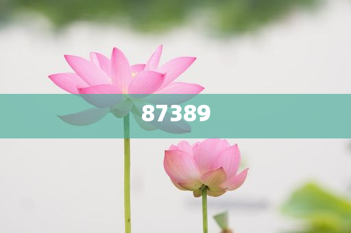 一肖是否包括特肖？深度解析生肖文化中的奧秘，深度解析生肖文化，一肖是否包含特肖？