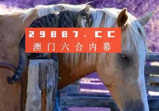 真相揭秘與策略探討