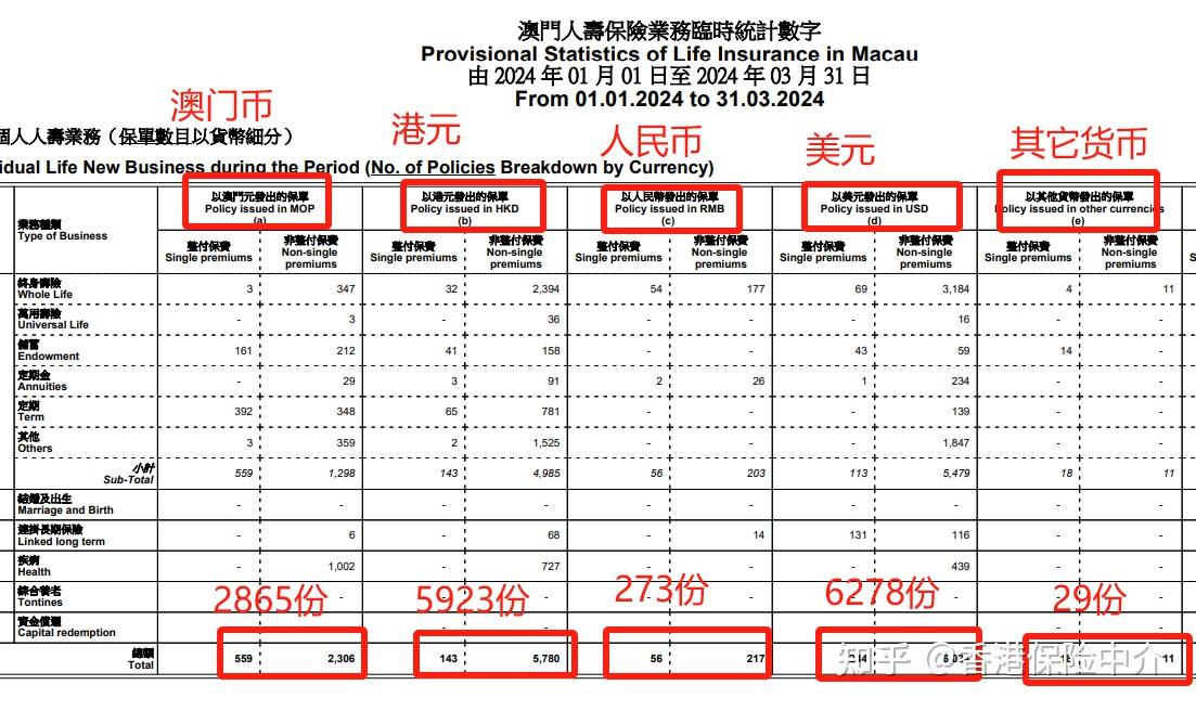 澳門兔費資料，探索新2025的奧秘與機會，澳門兔費資料揭秘，探索新機遇與奧秘的2025年