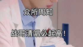 揭秘生肖傳奇，探尋049王中王風冠一肖背后的奧秘，揭秘生肖傳奇背后的奧秘，探尋王中王風冠一肖的神秘面紗