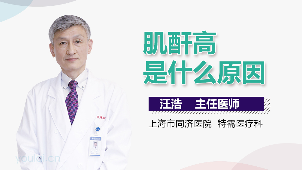 肌酐高是什么原因？深入了解背后的因素，肌酐高背后的原因，深入了解與解析