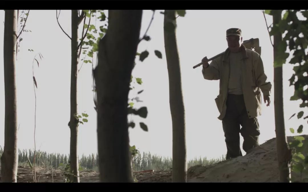 今晚劉伯溫四不像一肖圖，揭秘神秘預測背后的故事，揭秘劉伯溫四不像一肖圖的神秘預測故事