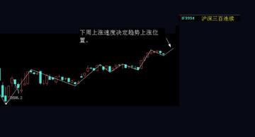 王中王300期指一生肖，揭秘背后的秘密與生肖運(yùn)勢(shì)分析，揭秘王中王300期生肖選擇與生肖運(yùn)勢(shì)深度解析